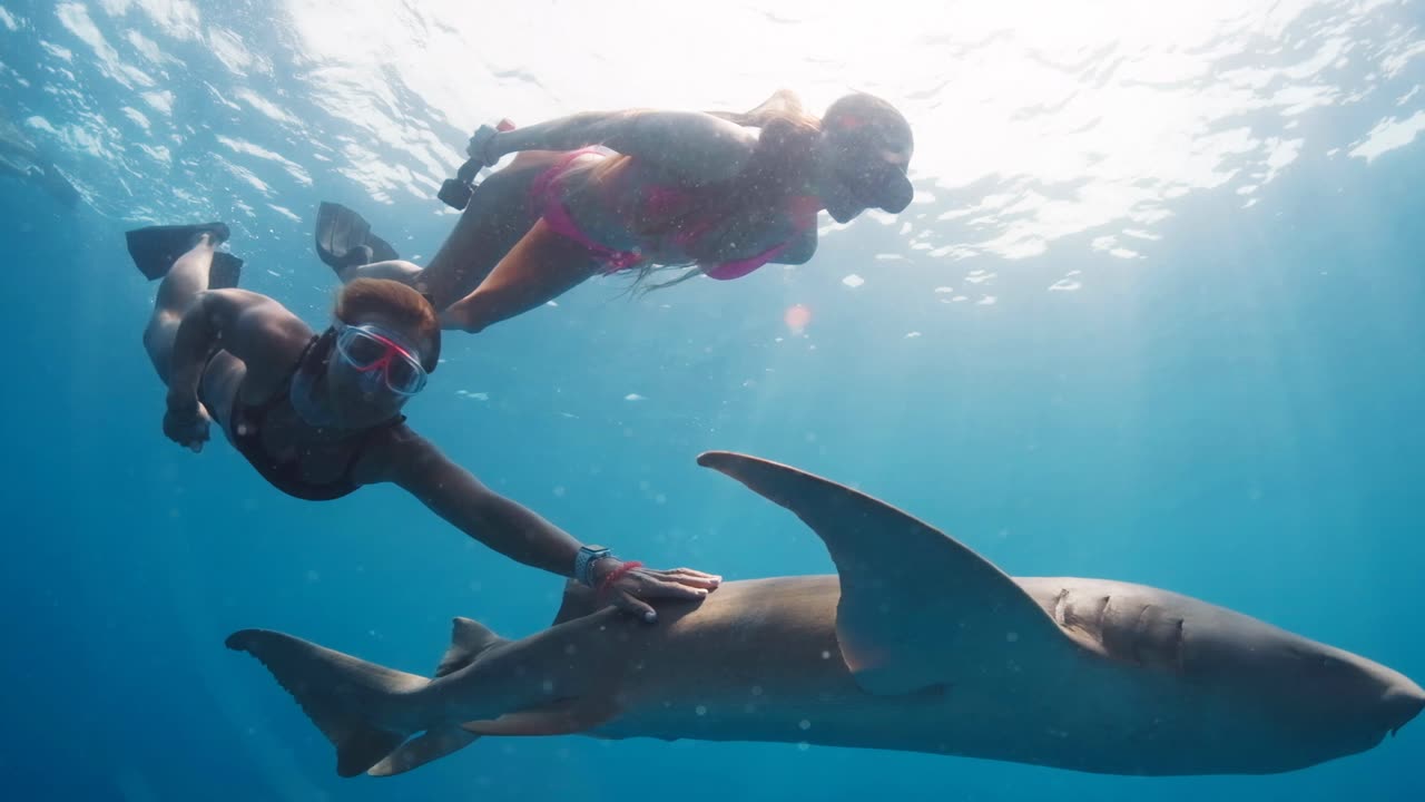 Underwater land! Magical Australia