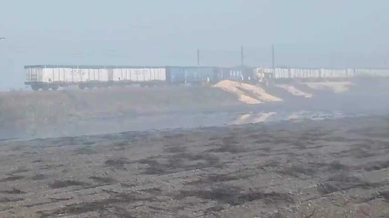 30 tons of Ukrainian grain has been emptied from a train in Poland