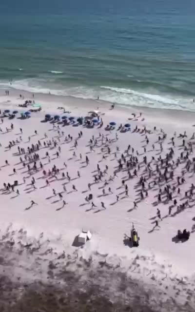 K9 unit sends crowd scattering on beach