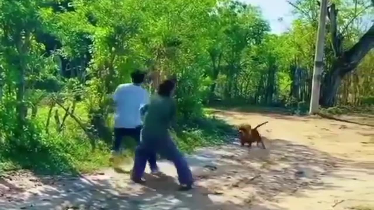 funny clip