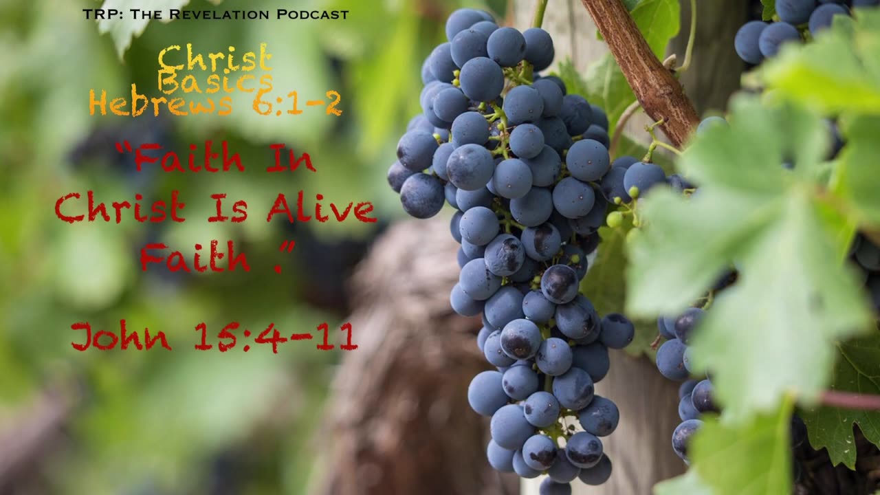 Christ Basics: 3. Faith In Christ Is Alive Faith