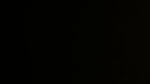 Get out of the car now!