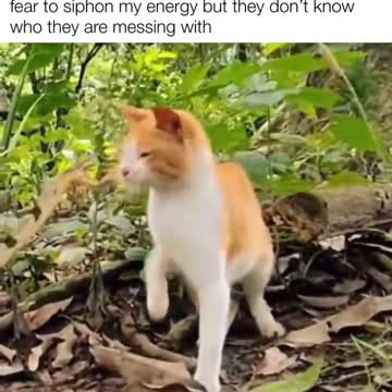 Reptiles trying to invade by spreading fear to steal your loosh and your energy. NOT today satan!