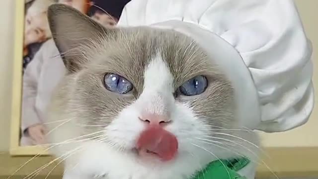 🥸Careful following the instruction by what’s the science behind it