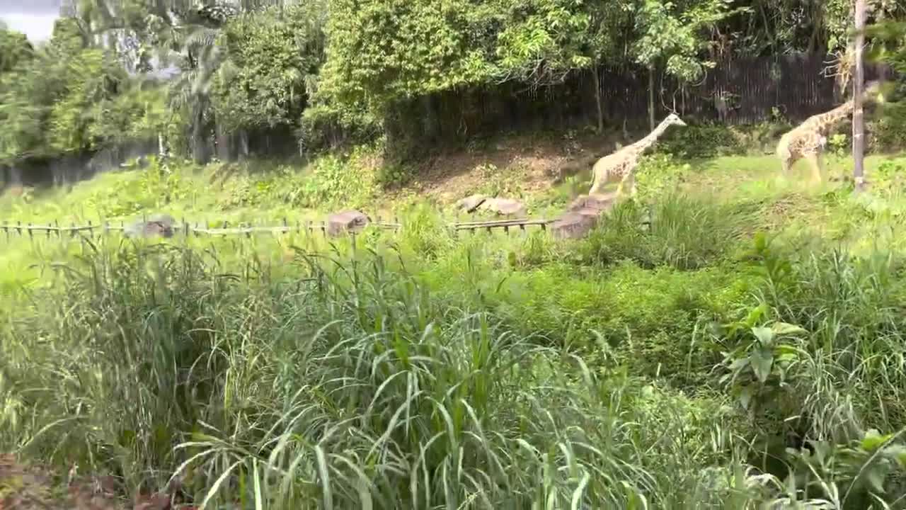 Zoo Negara Kuala Lumpur Outing