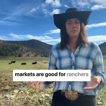 American Cattle Ranchers Ring Alarm Bell on Foreign Imports Taking Over Beef