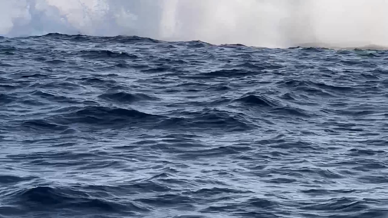 Mama Whale Breaches Followed Closely by Her Calf