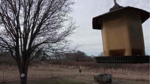 Bird Feeder and Backyard Stream - Muscogee Nation Reservation in Oklahoma USA