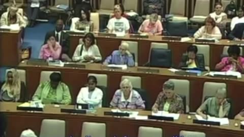 WAKE UP PEOPLE! The 2006 U.N council chemtrail presentation!