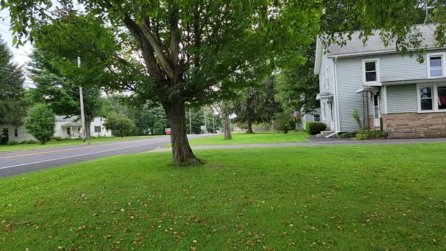 New Company -Heavy Hauling - Mike's Transmission