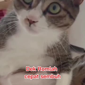 Hei, my name is romlah and iam lol