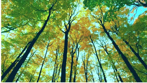 Beautiful scenery.