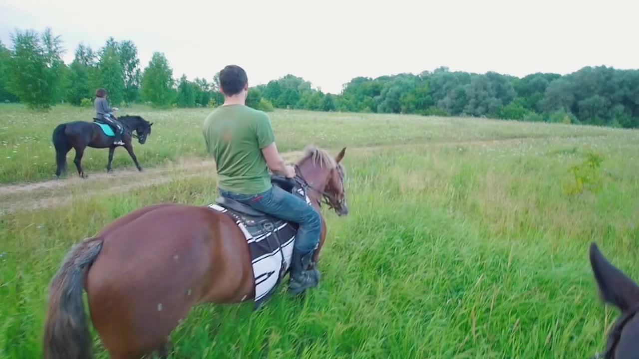 Riders on the horseback riding through the field at summer day