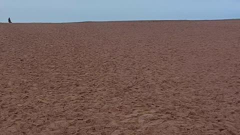 Солнечное . Финский залив