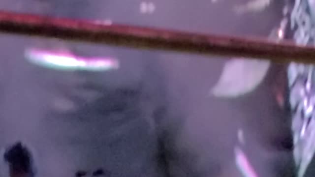 Guns n Roses "Welcome To The Jungle"