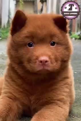 Omg so absolutely cute and adorable