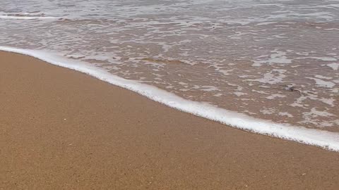 Beach view # Shelly Beach