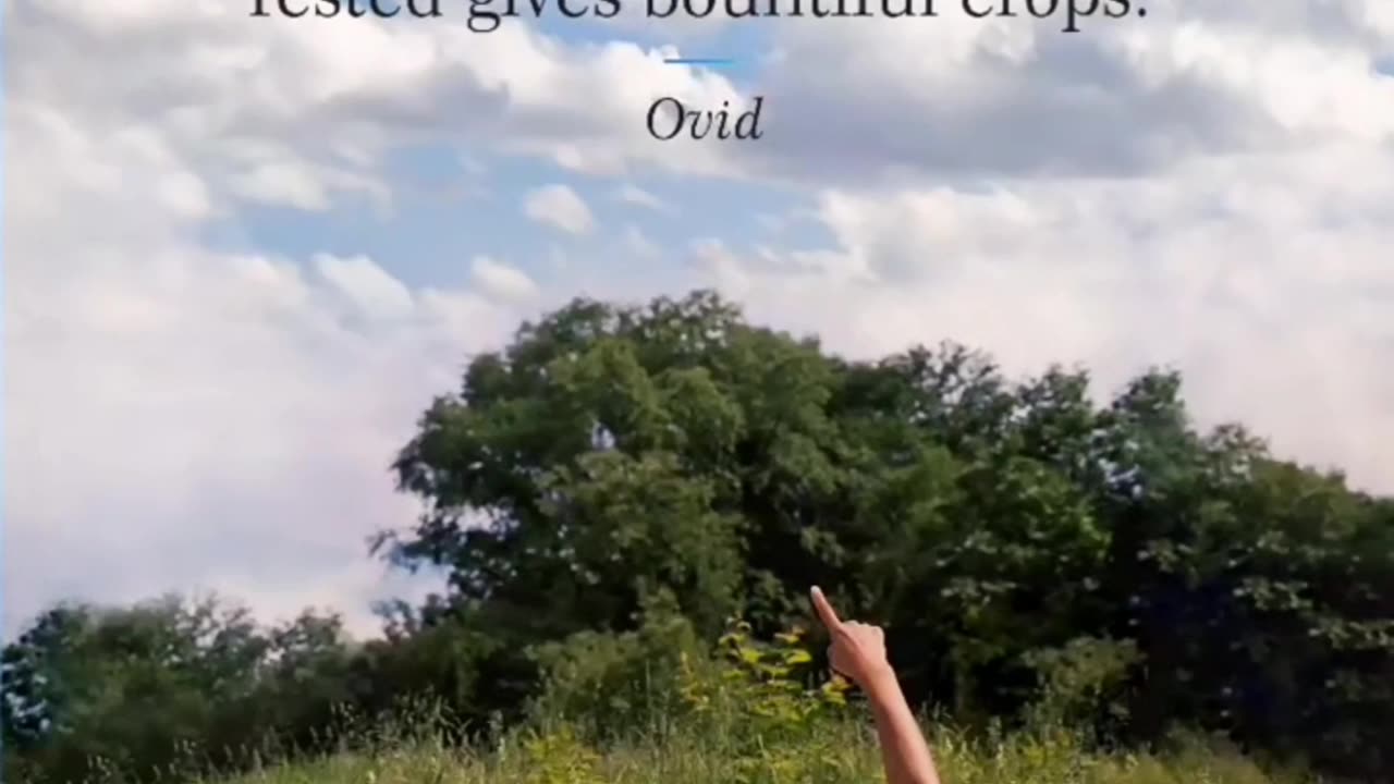 Meditation Quote Of The Day