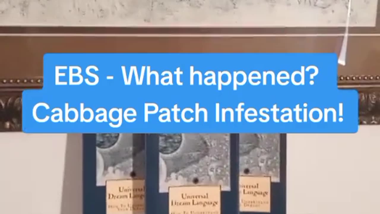 EBS - What Happened? Cabbage Patch Infestation!