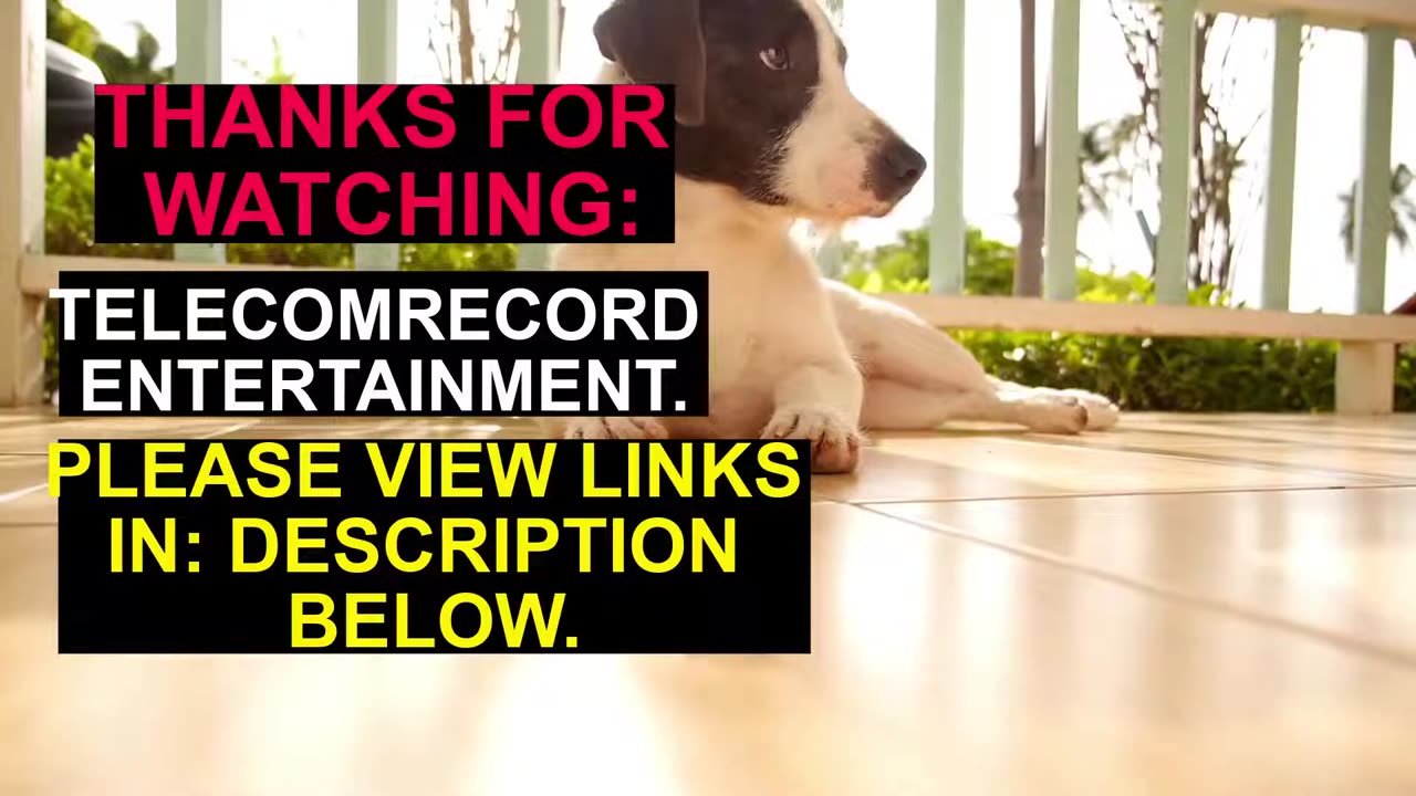 TEACHING ANY DOG HOW TO WALK ON A LEASH GOOD THINK