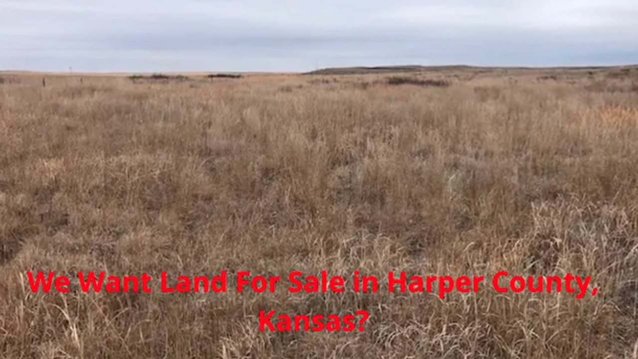 Smith & Co Auction & Realty, Inc. - #1 Land For Sale in Harper County, Kansas