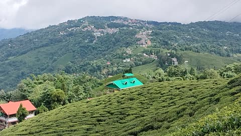 Mesmerizing views of Mirik