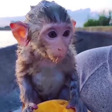 Compassion... We Need More Of It