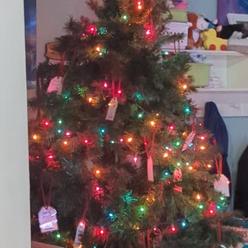 BradKuz76 Stinky Gerald Trash Cat