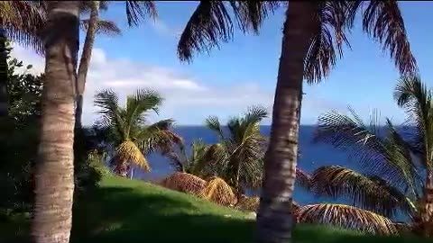 CUP!D$ ep 286 291.mp4