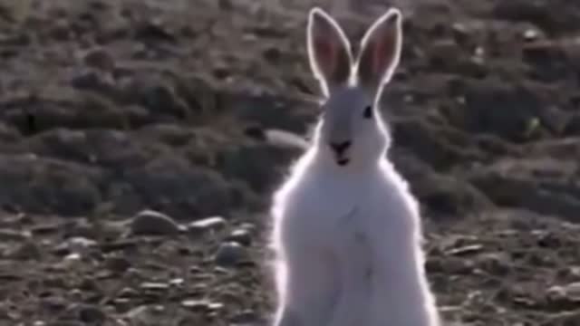 5th Generation Warfare