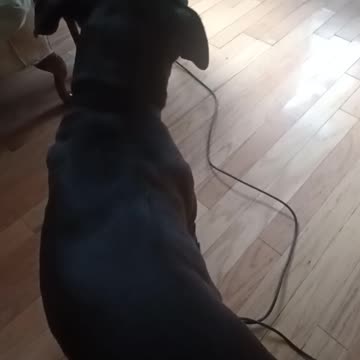 Rocky and the Vacuum