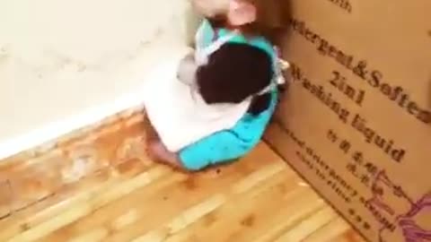 Angry monkey baby acting like human child!!