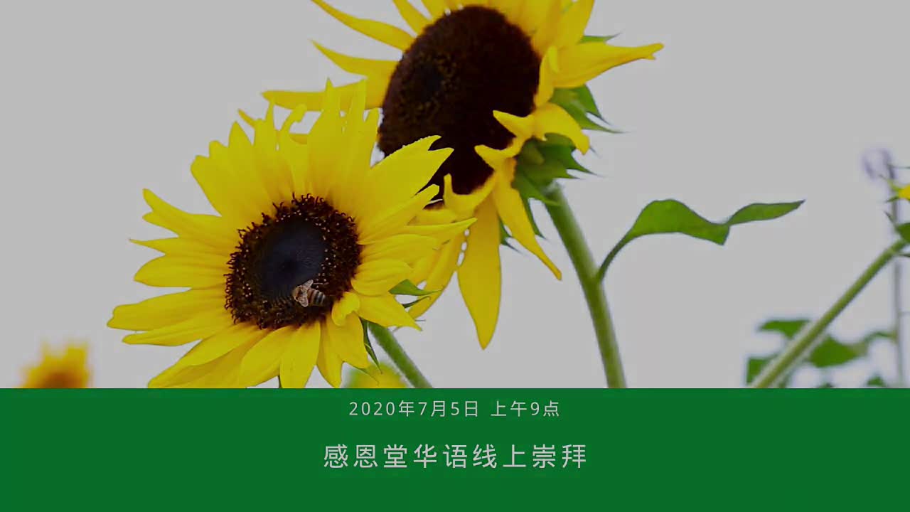 KY Chinese Service 5 July 2020