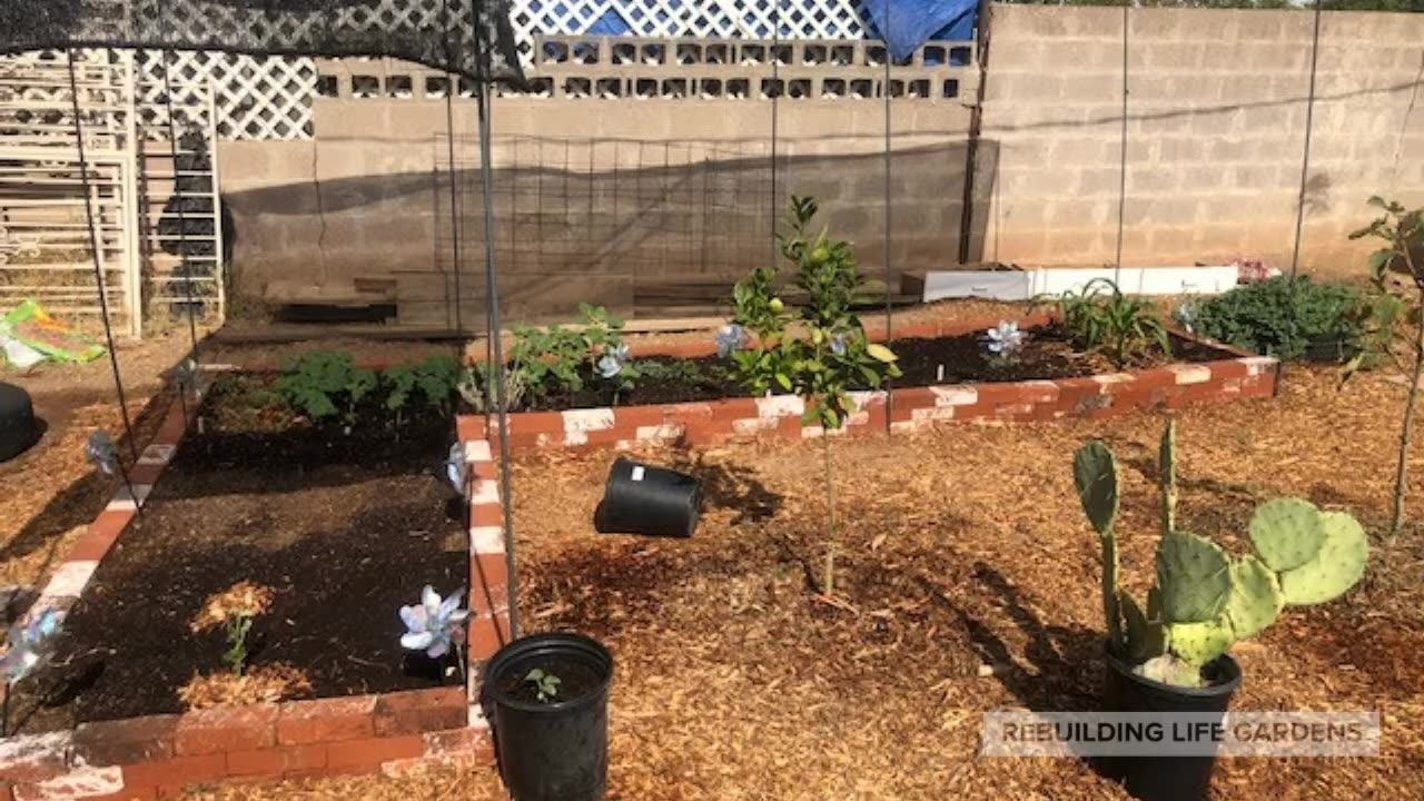 Phoenix Food Forest