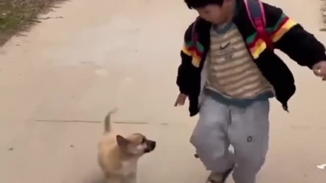 Dog and a boy friendship