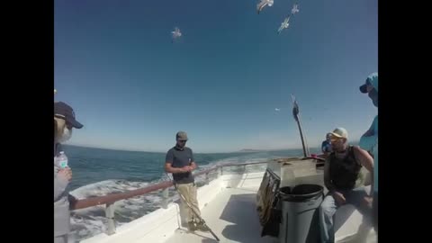 Daily Double Sportfishing! Rockfish! Quarantine fishing!