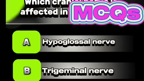 temporal lobe mcqs #brain 🧠