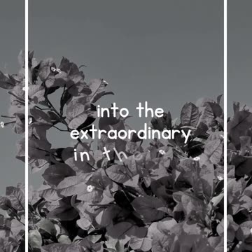 Crushes are like butterflies...