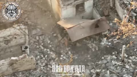 Drone Bomber Hunts Ukrainian Infantry