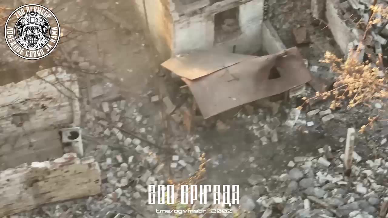 Drone Bomber Hunts Ukrainian Infantry