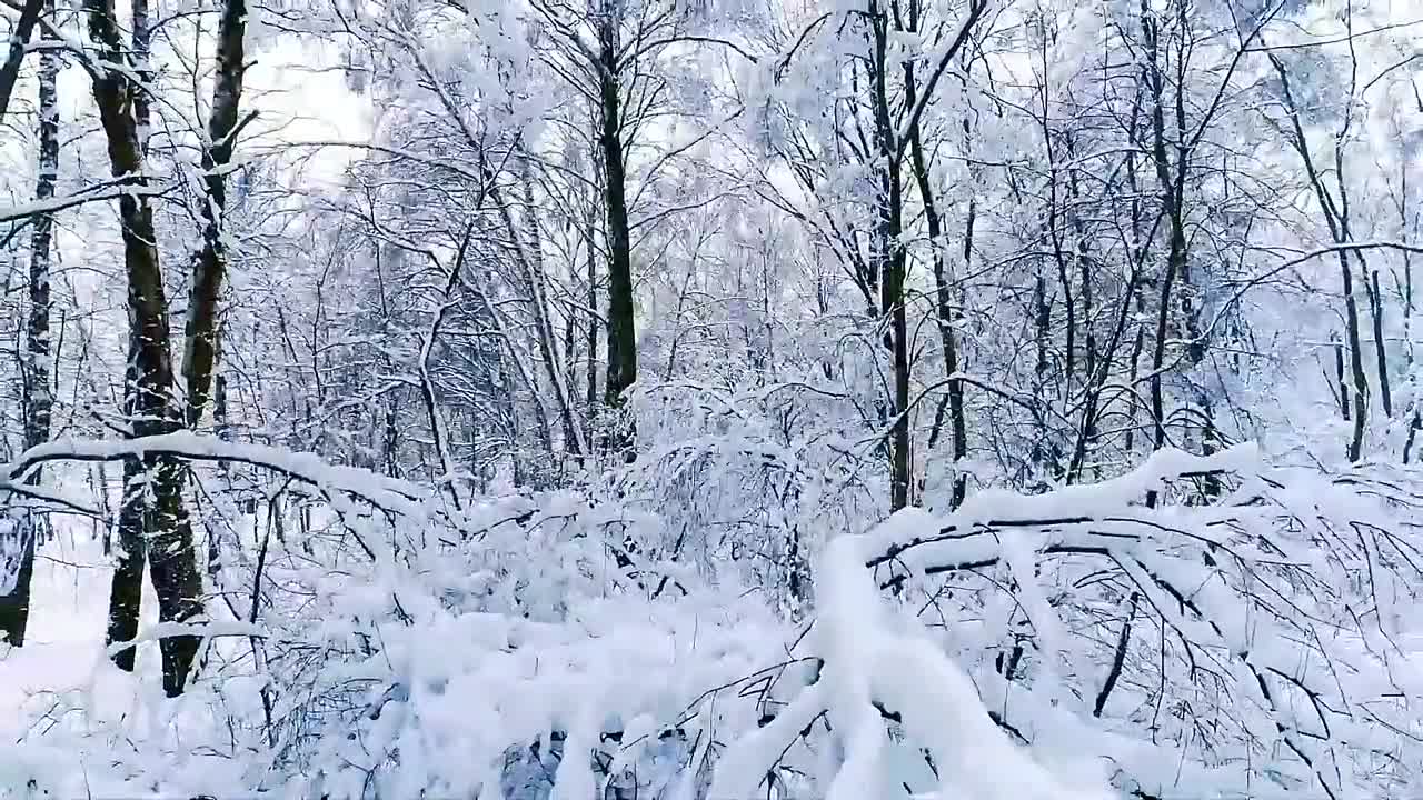 Beautiful snow scenery, beautiful ice and snow scenery, ice and snow