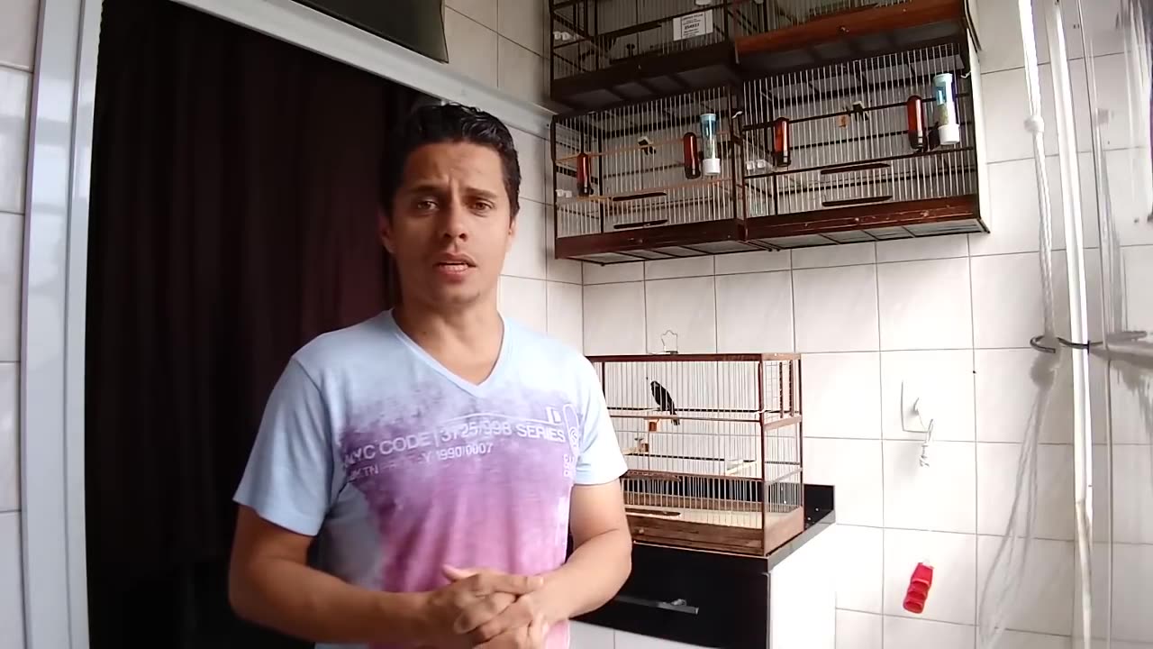 FEMEA NÃO DEPENDE DO NINHO E SIM, O NINHO DEPENDE DA FEMA