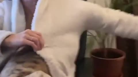 Comfy