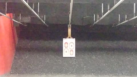 SIGHTING IN MY AR