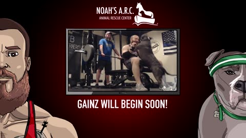 Fitness w/the Bearded Bros [Week 6] - Chest #CantFailFriday // Animal Rescue