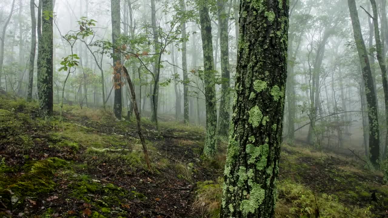 West Virginia - America's Richest State - A Time Lapse Film by Alex Wilson