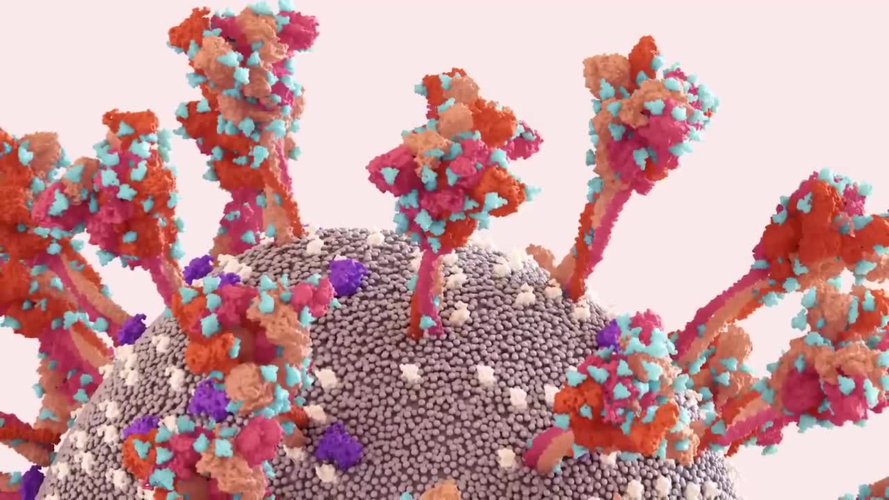 The COVID Subvariant BA.5 - How to Protect Yourself From the Highly Infectious COVID-19 Variant