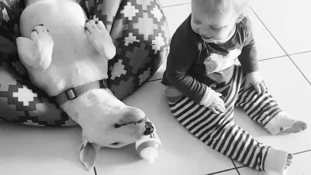 Baby and Bull Terrier share incredibly precious moment