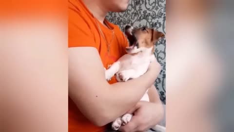1 Hour Trending Funny Dogs And Cats Videos 😂 Funniest Cats and Dogs