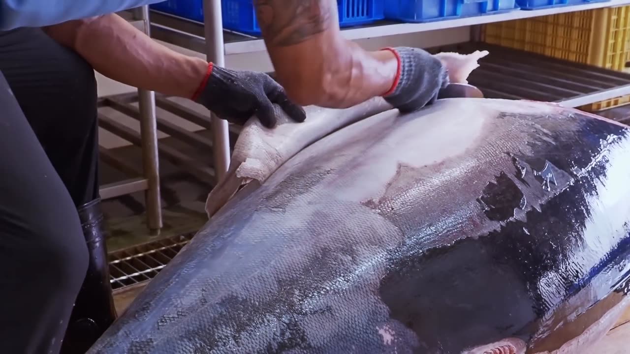 https://www.youtube.com/watch?v=rfyyqTKm_W8